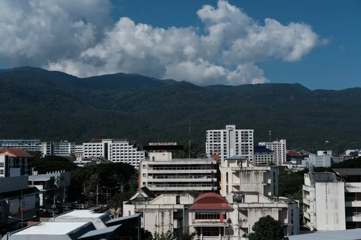 산을 배경으로 한 도시 전경