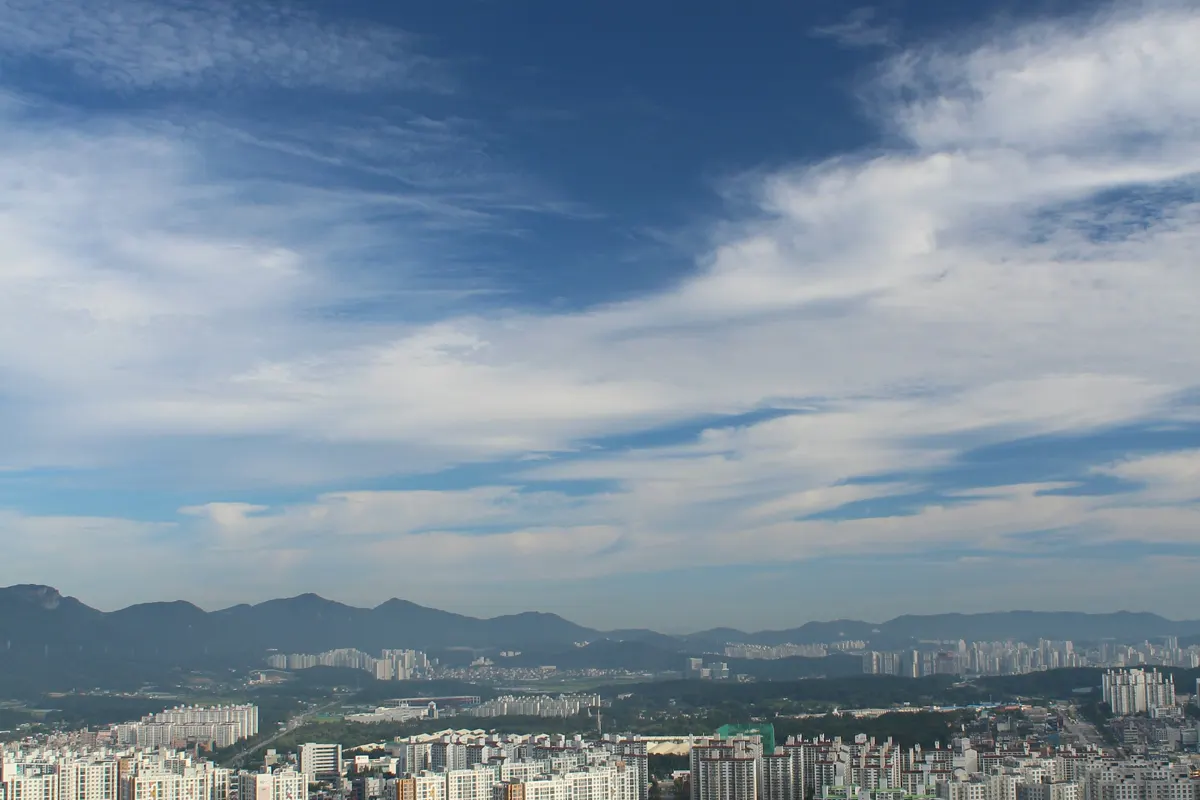 산이 보이는 대전 도심과 아파트 풍경