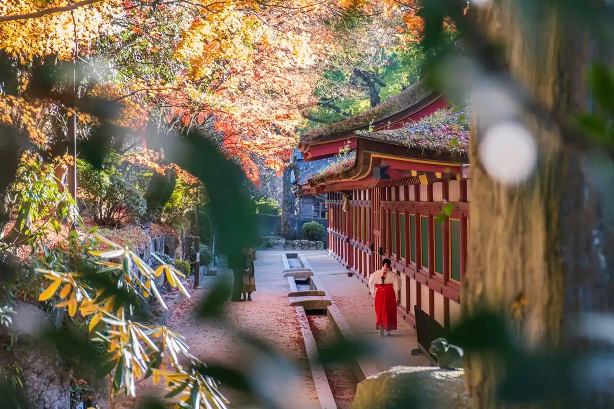 다자이후 신사 앞 건물과 붉은 옷을 입은 사람