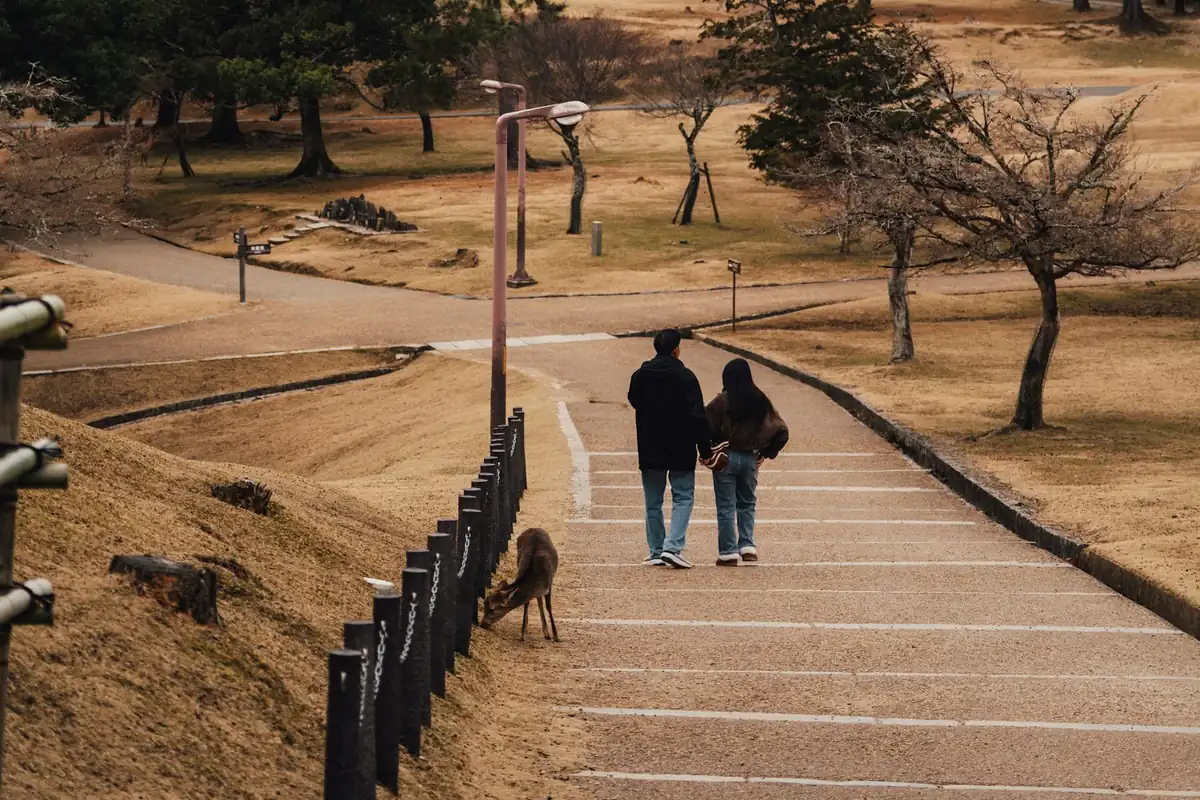 나무 사이의 나라 산책길을 걷는 사람들